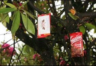 <!--:pt-->Em Campos do Jordão tem chocolate nas árvores<!--:-->